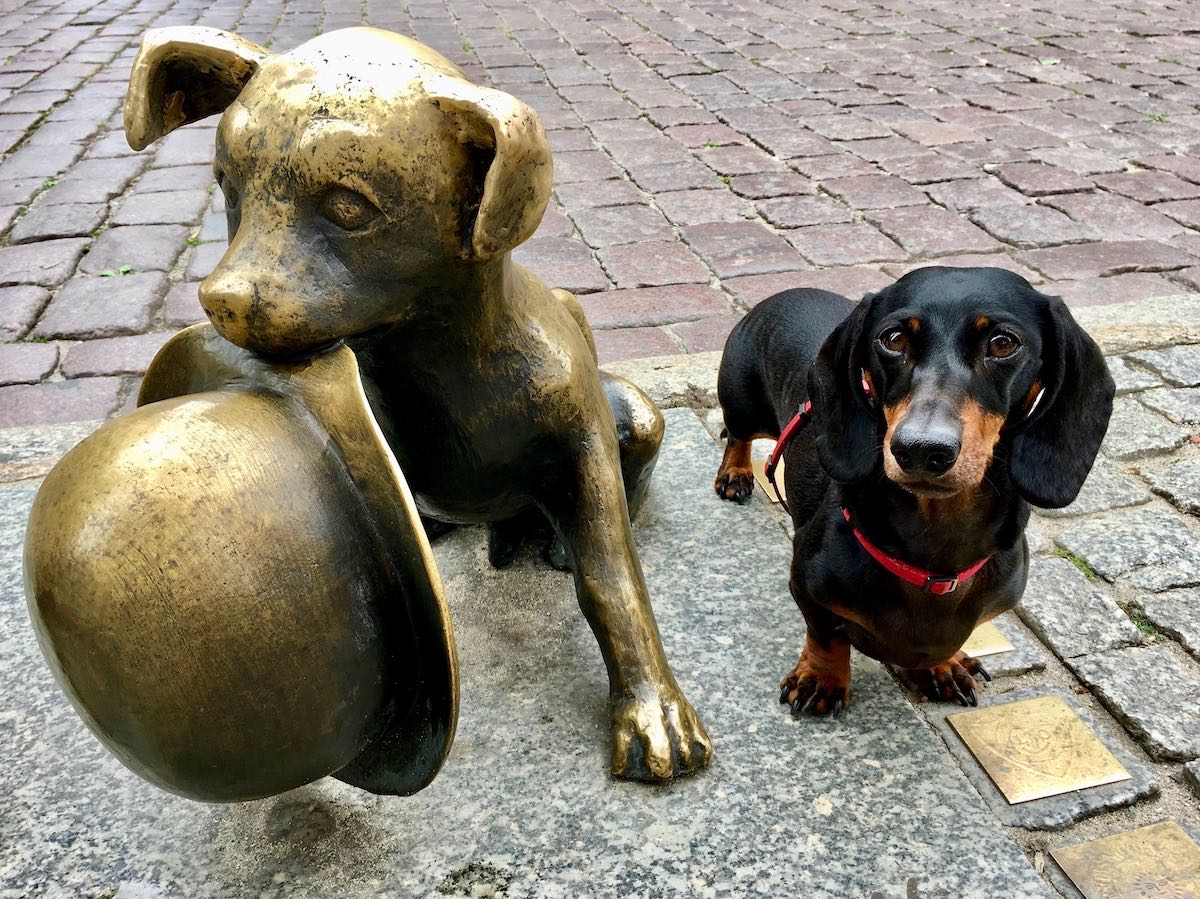 DogFriendly Poland Travelling in Poland with a Dog Travelnuity