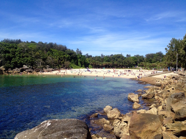 Dog-friendly walks Sydney: Walk to Shelly Beach