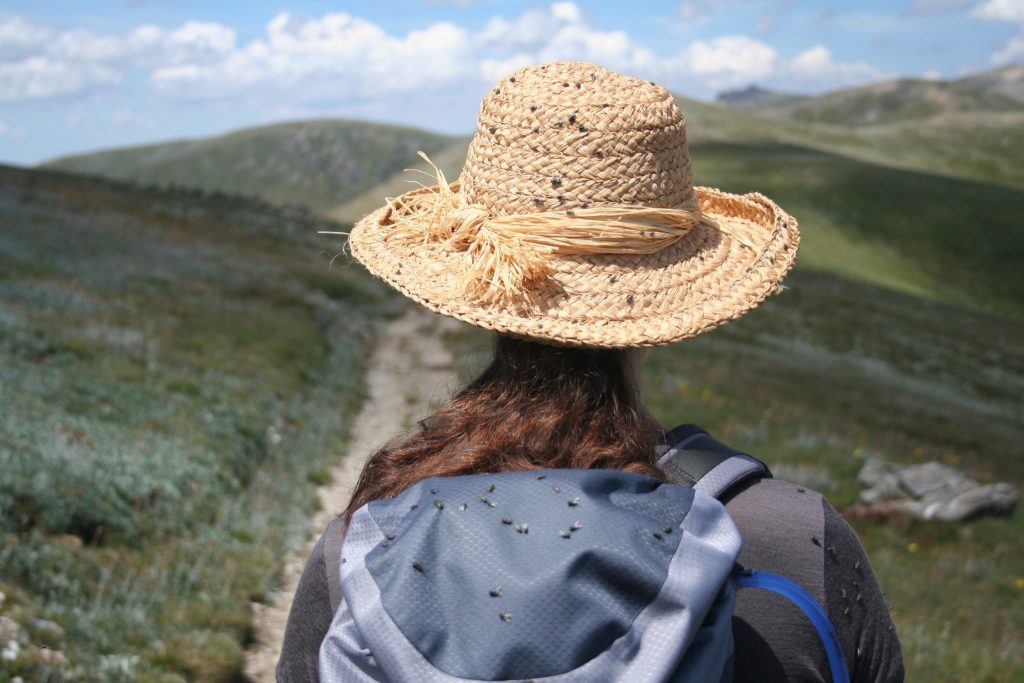 Best day hikes Australia