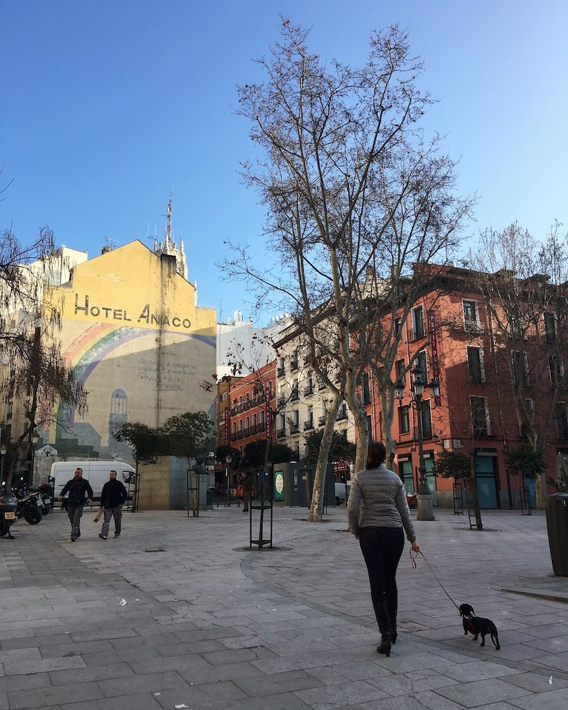 Schnitzel in Madrid