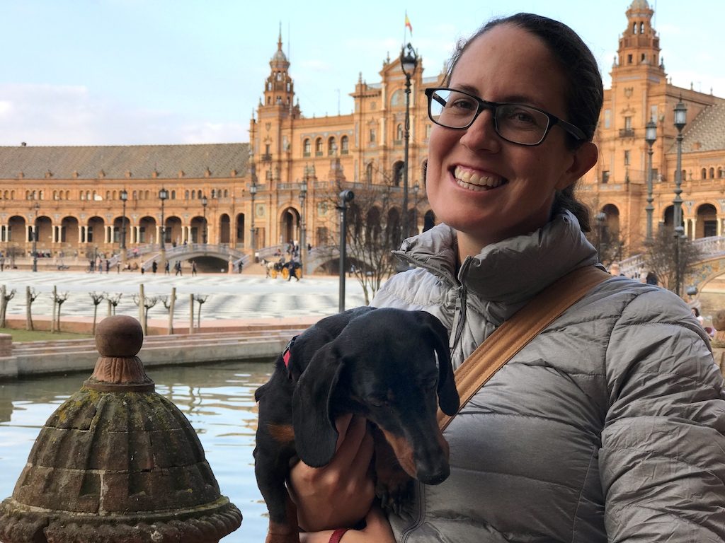 Schnitzel in Seville