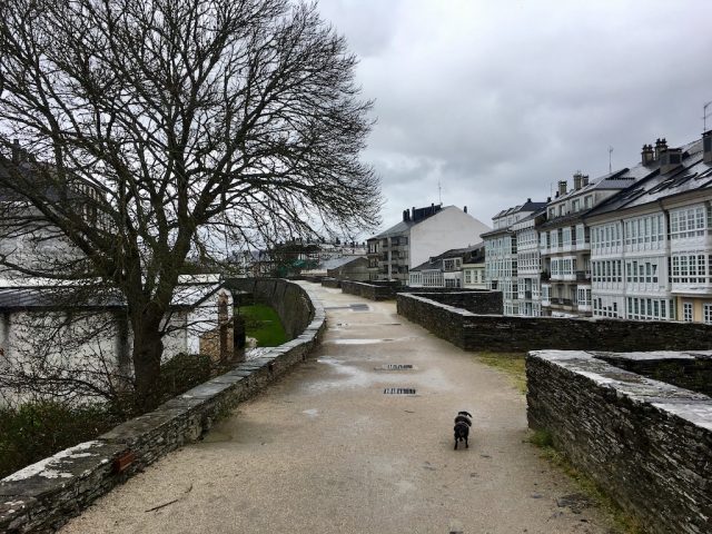 Roman walls in Lugo