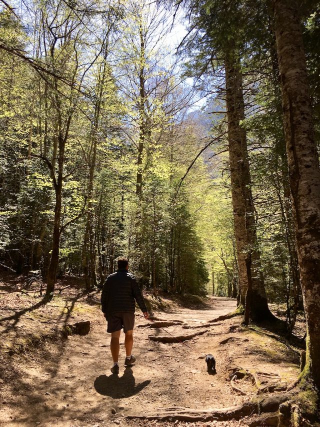 Hiking with a dog in the Pyrénées