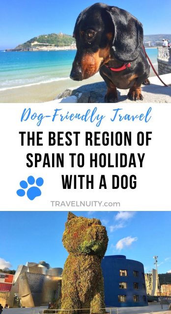 Best Region of Spain to Holiday with a Dog