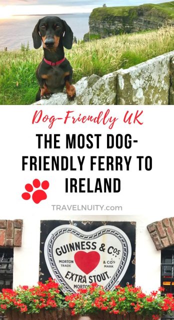 Dog-Friendly Ferry to Ireland pin
