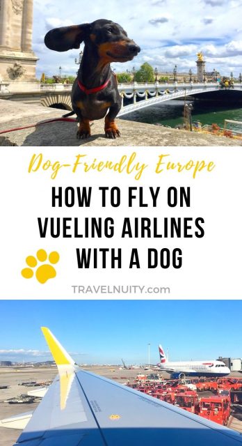 Vueling with a Dog pin