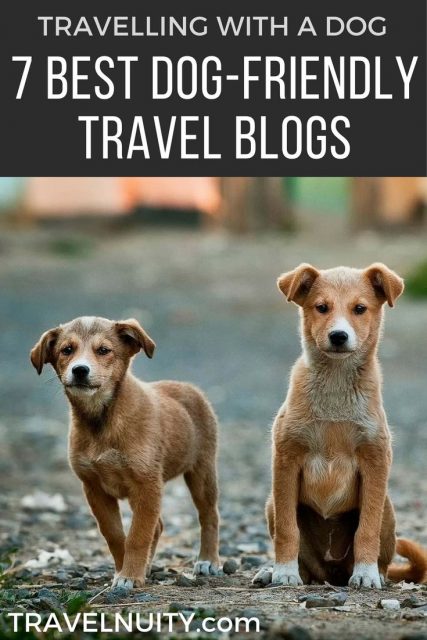 Best Dog Travel Blog