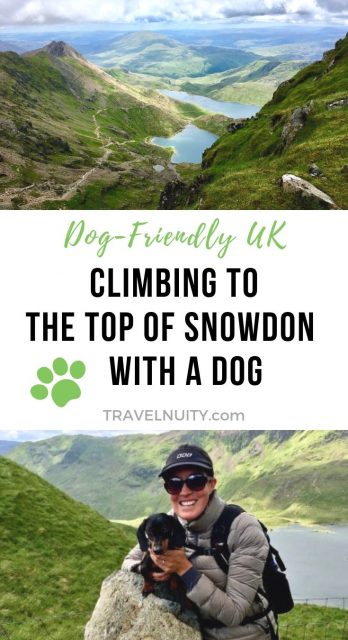 Climbing Snowdon with a Dog pin