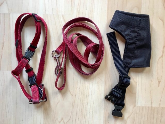 Dog Harness & Muzzle