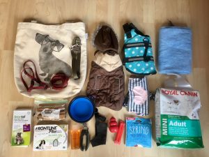 Dog travel packing list