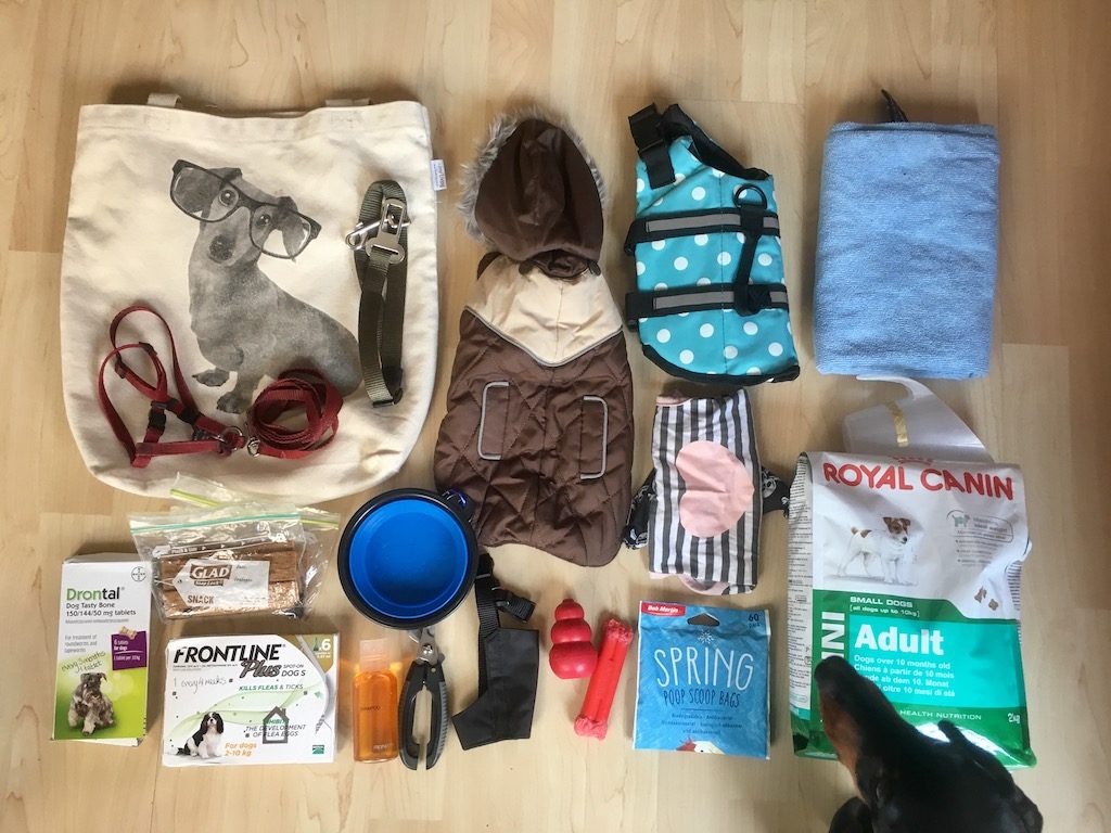 Things to pack when travelling with a dog spread on the floor