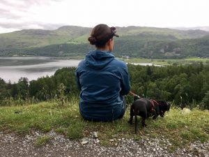 Travelling in the UK with a dog