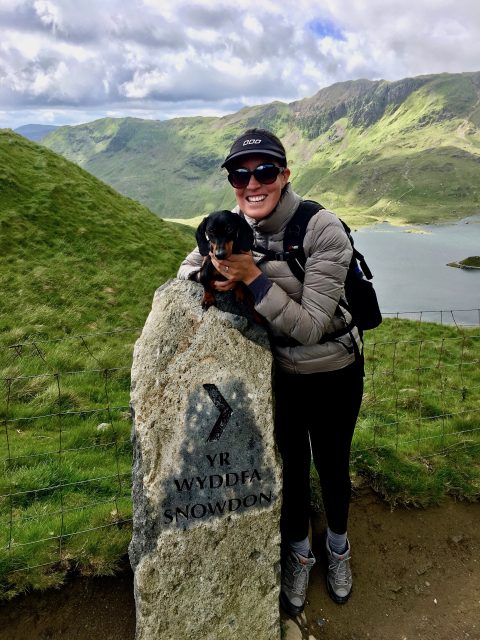 Climbing Snowdon with a dog: Snowdon Marker