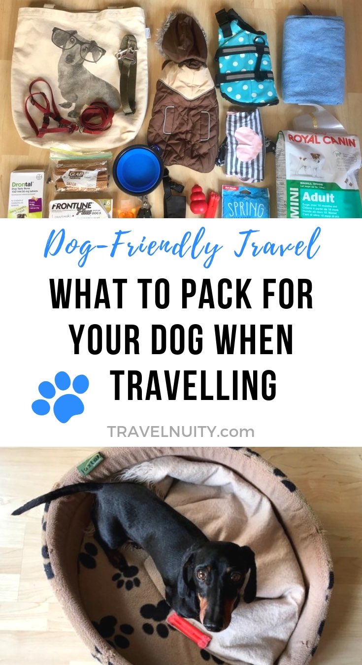 Dog Travel Packing List: What to Pack for Your Dog - Travelnuity