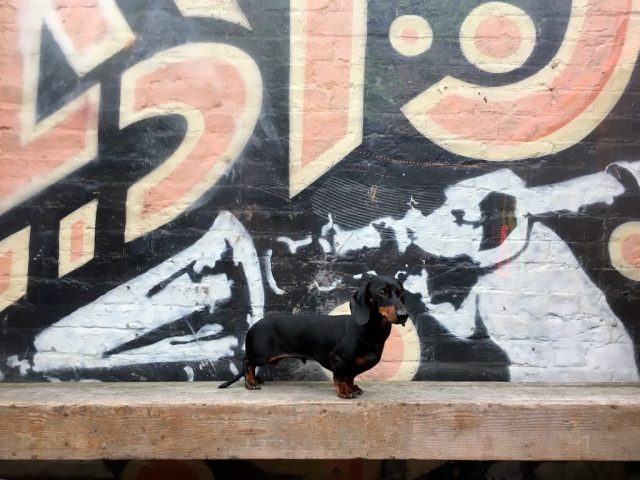 Banksy Dogwork