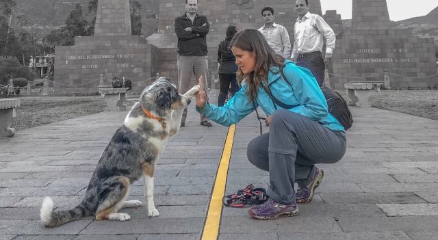 Dog-Friendly Quito