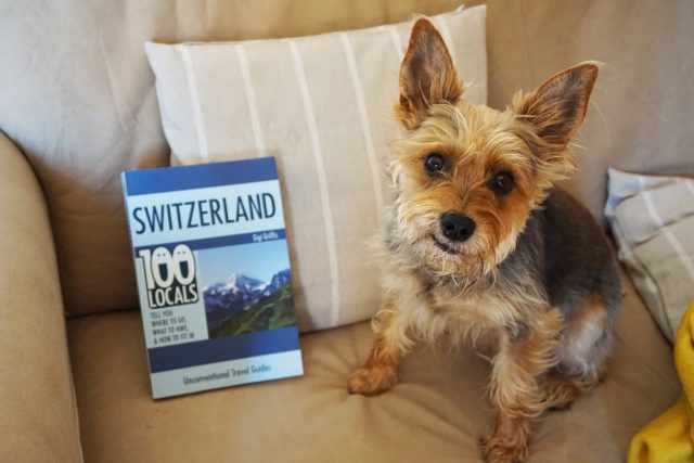Dog-Friendly Switzerland 3
