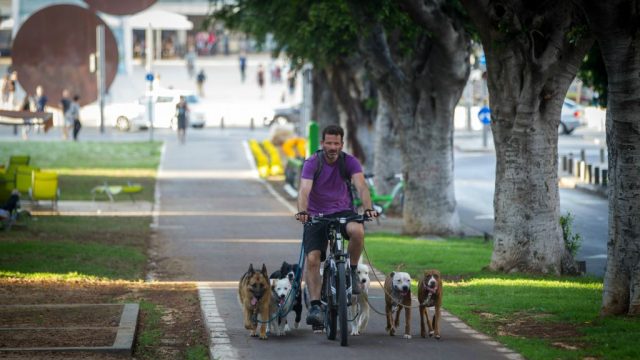 Dog-Friendly Tel Aviv