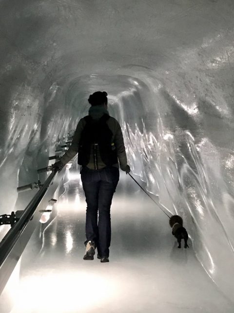 Exploring the Ice Palace