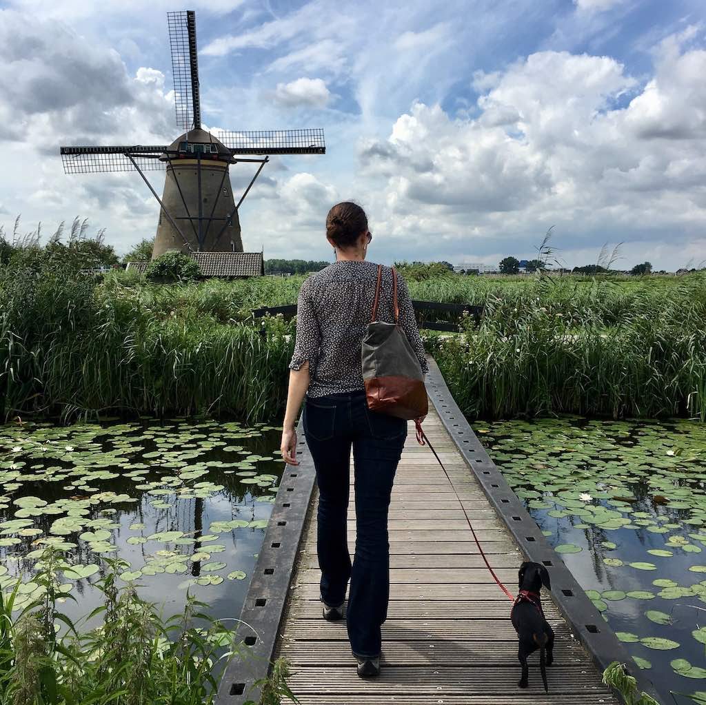 Kinderdijk with dog