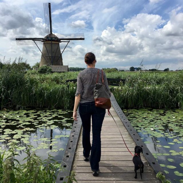 Kinderdijk Walking with Dog 2