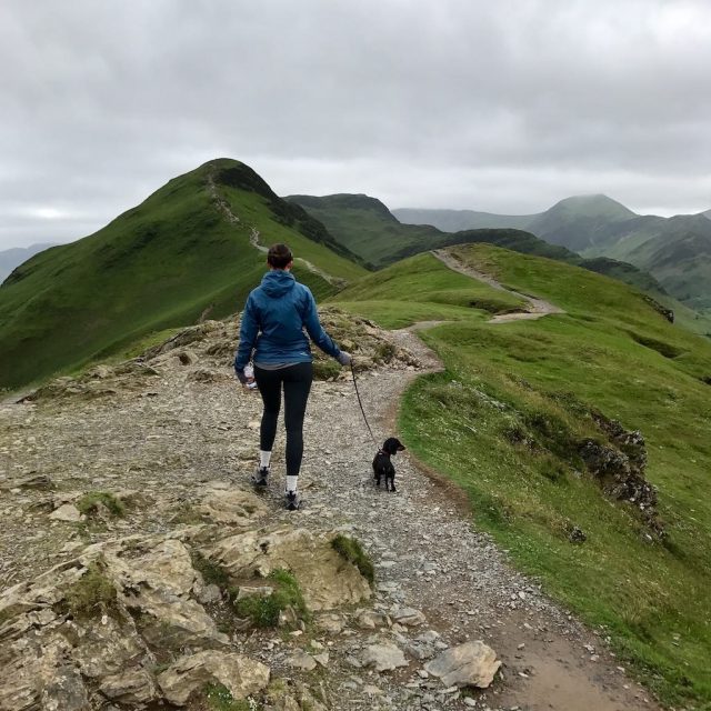 Lake District Hiking with a Dog