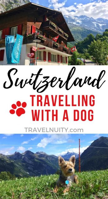 Dog-friendly Switzerland