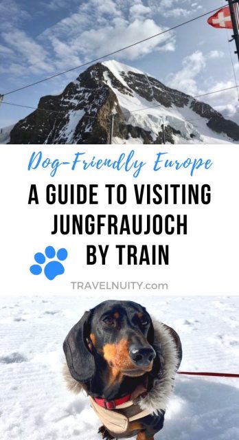 Visiting Jungfraujoch pin