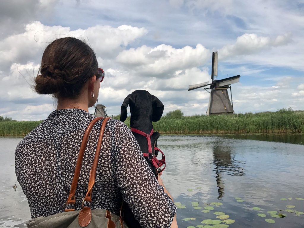 Visiting the Kinderdijk Windmills with a Dog