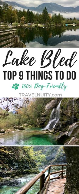 Dog-Friendly Lake Bled