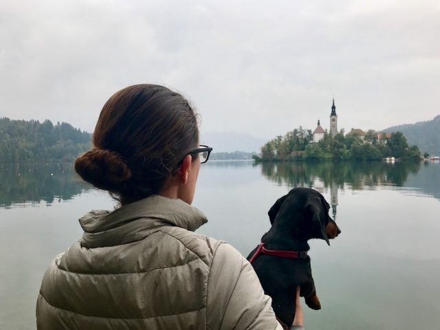 Lake Bled Reflections with Dog
