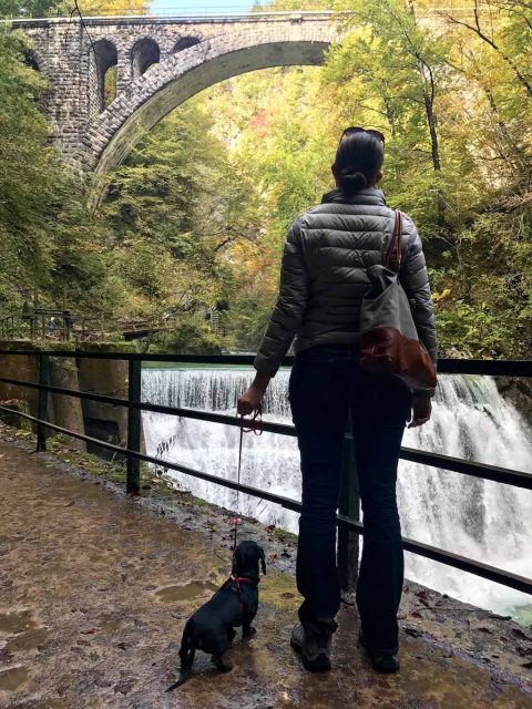 Vintgar Gorge Waterfall