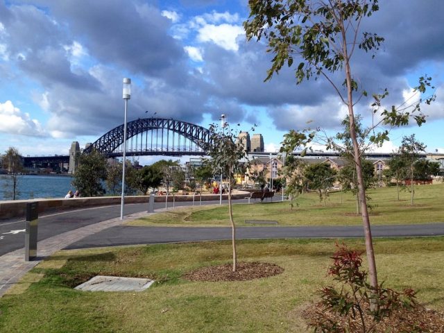 Dog-friendly Barangaroo Reserve Sydney
