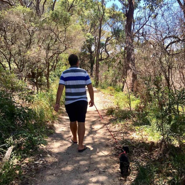 Dog-Friendly Bush Walks Sydney