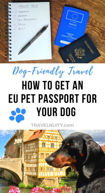 EU Pet Passport pin