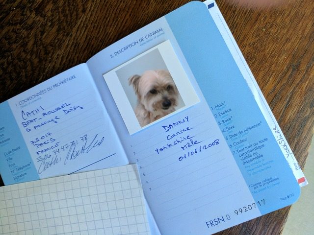 travel passport for dog