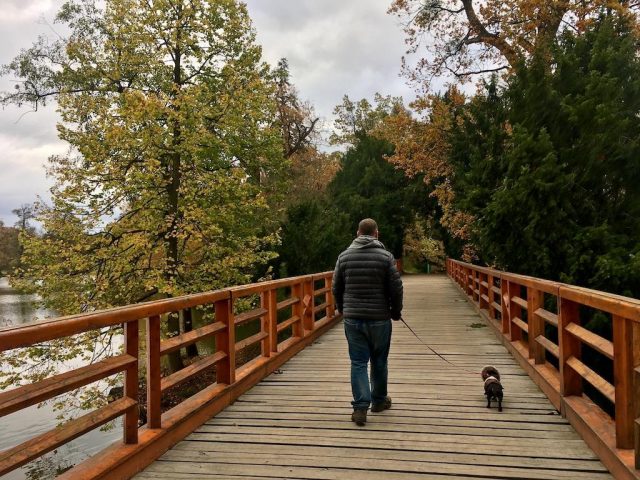 Lednice Bridge Walking with Dog