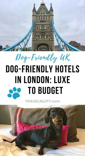 Dog-friendly hotels in London