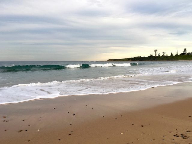 Dog-friendly McCauleys Beach near Sydney