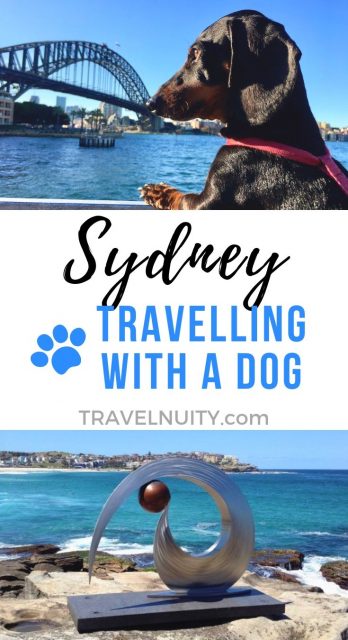 Sydney Dog-Friendly Travel pin