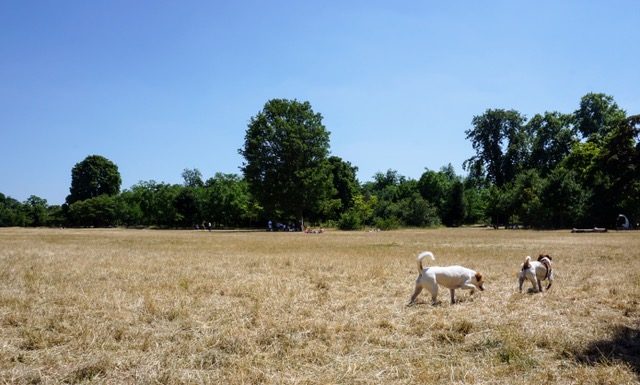 Bois de Vincennes park