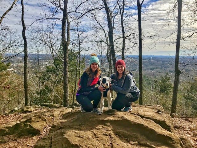 Kennesaw Mountain Trail with dog