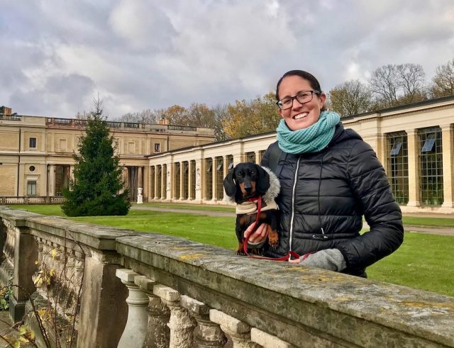 Dog at Potsdam Park in Germany