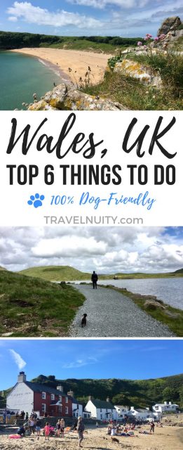 Dog-friendly things to do in Wales United Kingdom