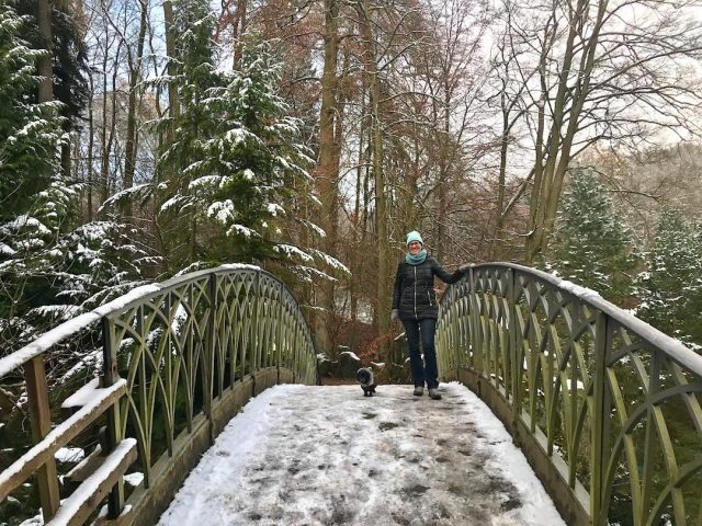 Dog on bridge at Bergpark Wilhelmshöhe