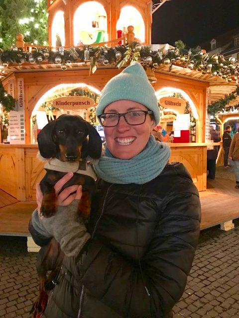 Dog at Christmas Market in Germany