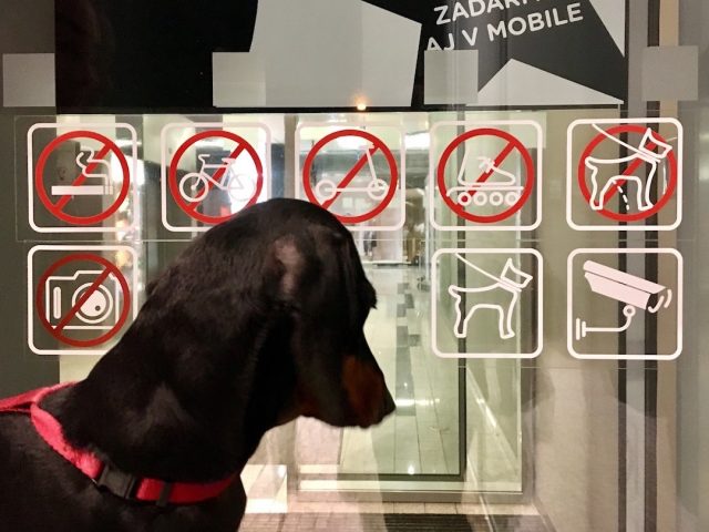 Signs at a dog-friendly shopping mall in Slovakia