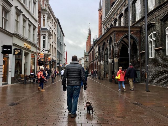 Dog-friendly sightseeing in Germany