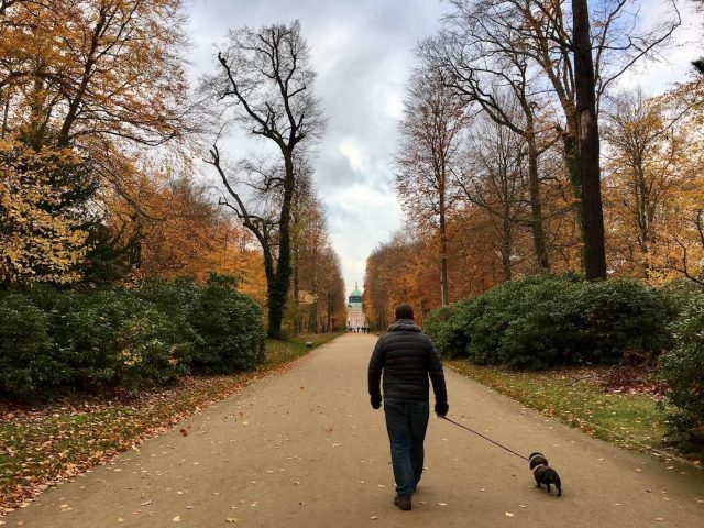 Travel to Germany with dog: At San Soucci Park