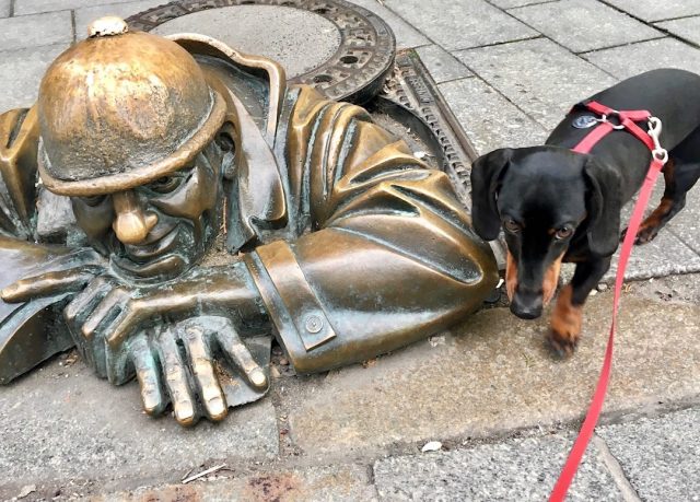 Dog friendly Bratislava